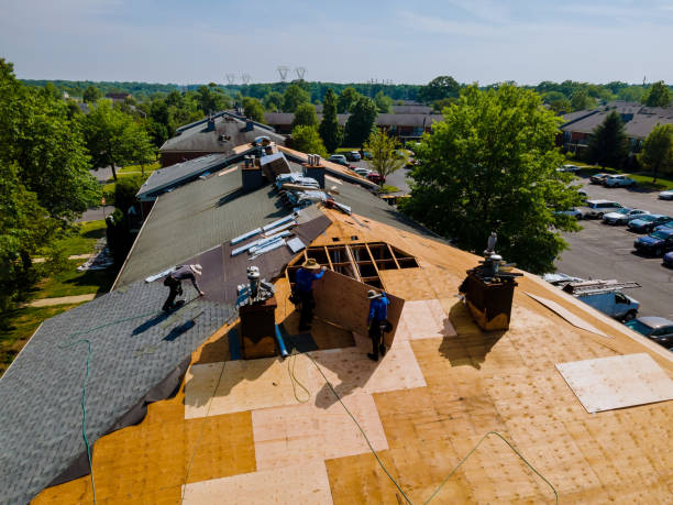 Best Storm Damage Roof Repair  in Catahou, LA