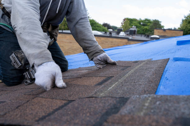Best Roof Gutter Cleaning  in Catahou, LA